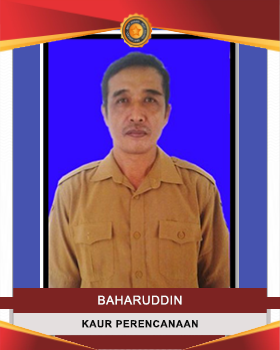 BAHARUDDIN